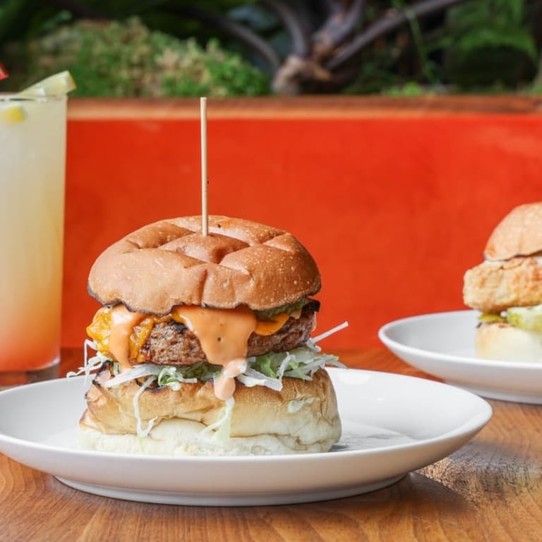 Delicious Chicken Dishes for Every Palate